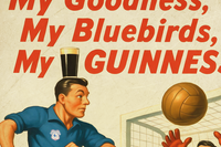 Cardiff City FC Bluebirds Ninian Park Vintage Style Guinness Poster 5